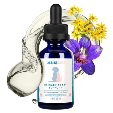 Urinary Tract Support for Cats - Home Remedy